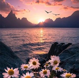 Meet your Posher, Zharick tatiana